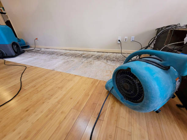 Professional Water Damage Repair technician working in Pomeroy, IA